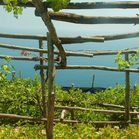 Casa Martina Villa Amalfi Kültér fotó