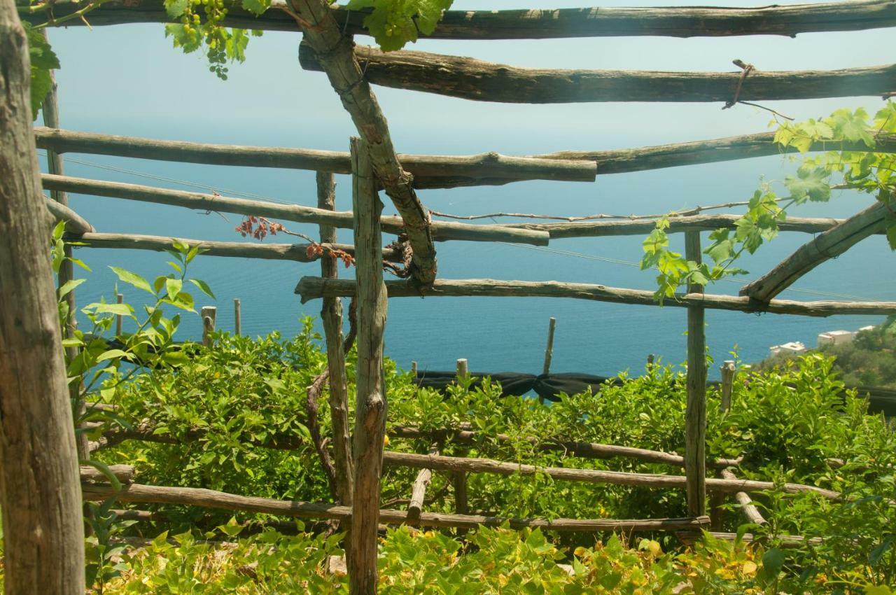 Casa Martina Villa Amalfi Kültér fotó